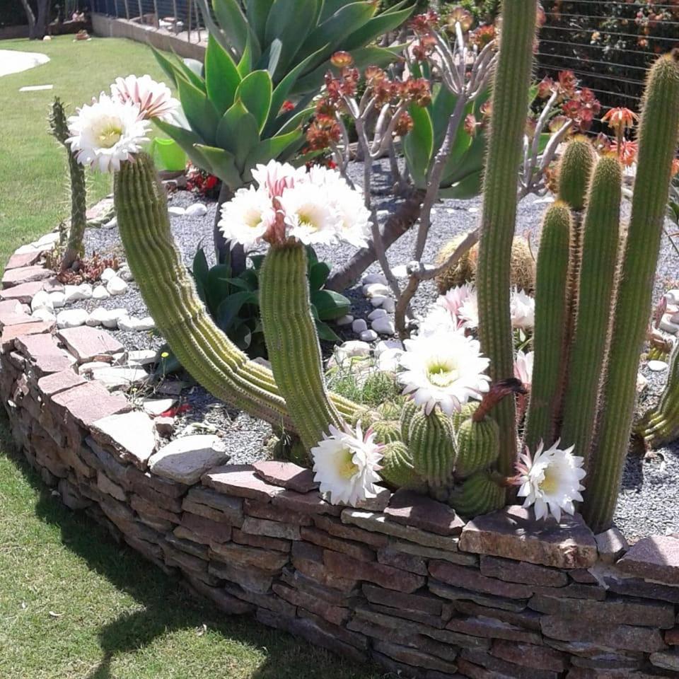Villa Rosanna 카포텔라 외부 사진